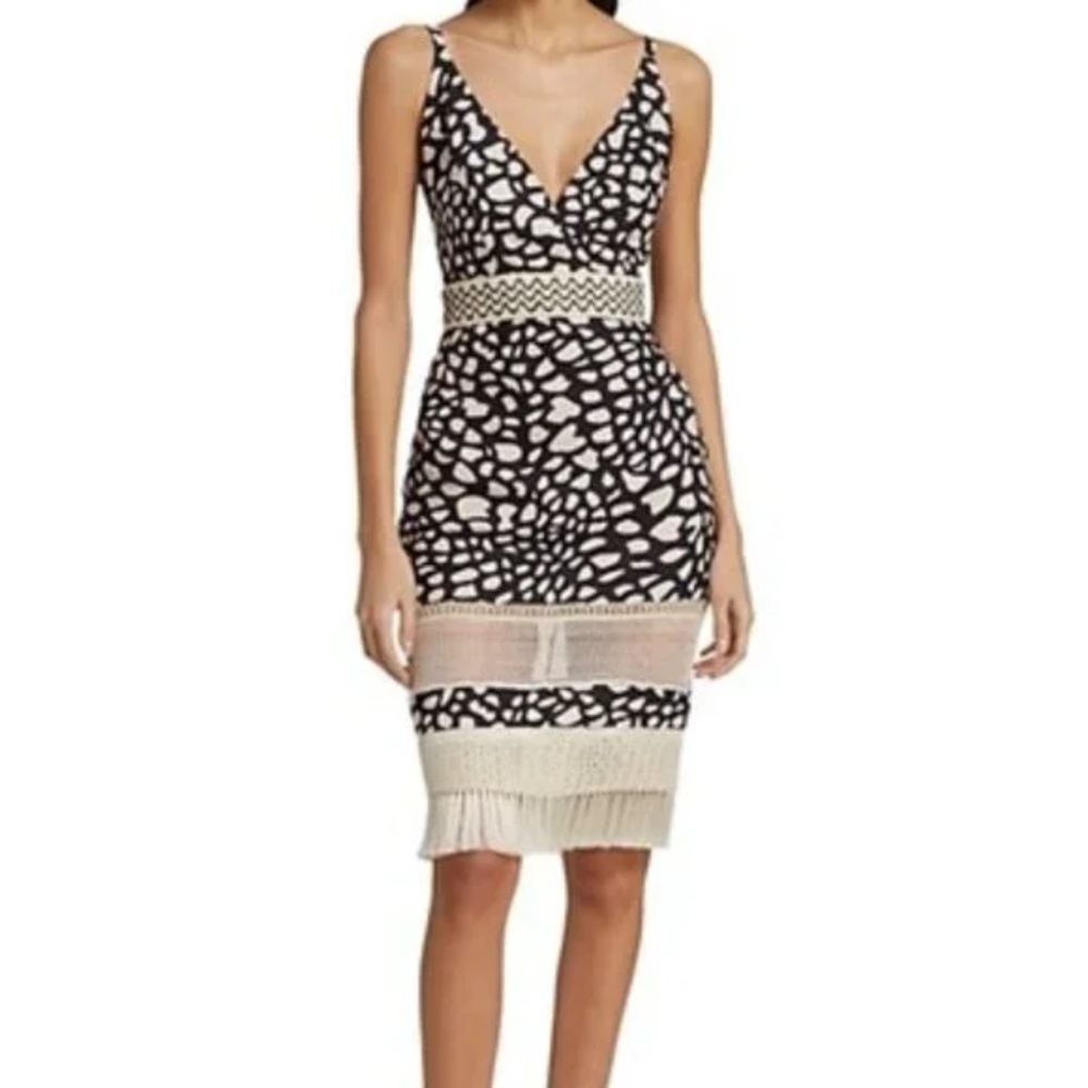 PATBO Spotted Fringe Trim Dress 2